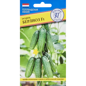 Семена овощей огурец Берлиоз F1, 5 шт.