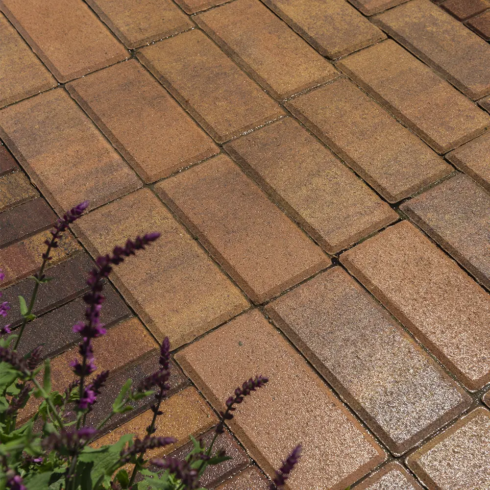 Тротуарная плитка BRAER Прямоугольник 200x100 мм - Природная эстетика для садовых дорожек 82770034 STLM-0035754 - Вид №5