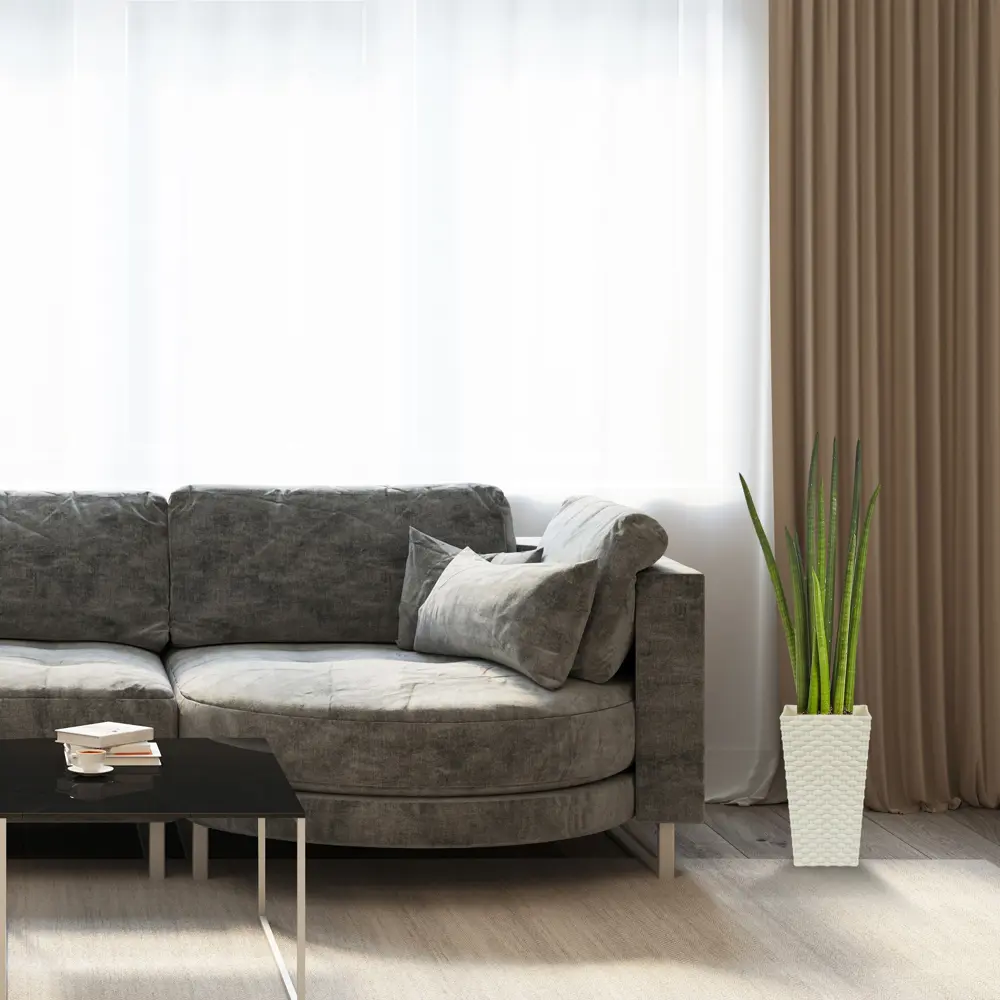 Сансевиерия цилиндрическая 17x70 см 82850381 STLM-2137756 Santreyd  - Вид №3