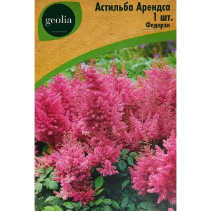 Астильба Арендса Федерзи - розовоцветущее корневище для сада 86408602