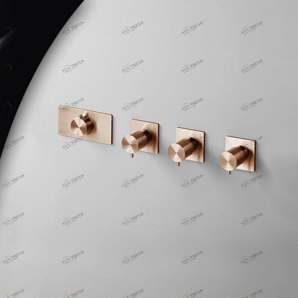 Термостат для душа AICO TER56R розовое золото Radomonte