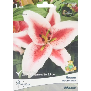 Лилия восточная Айдахо 86410096 STLM-2151562