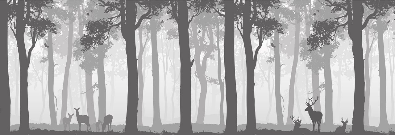 Стеновые панели - Дримвальд LIGRON LIST41 2304 - Вид №1