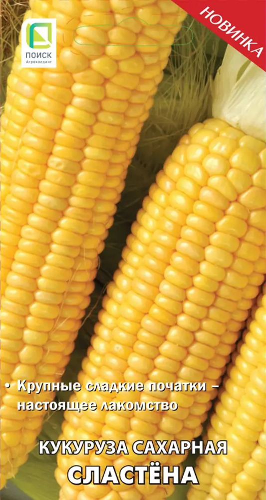 Семена кукурузы ПОИСК Сластена - сахарный сорт для свежего употребления и заготовок 86217892