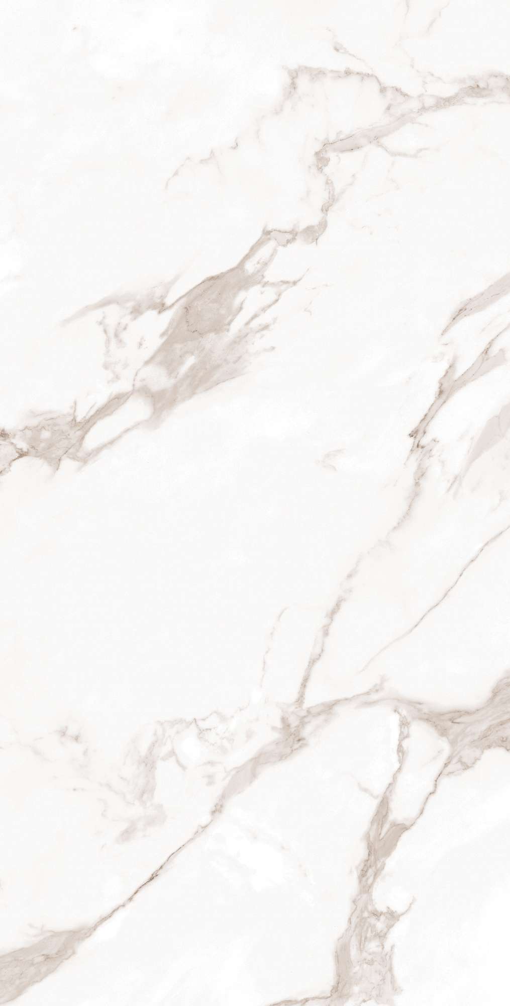 CALACATTA BIANCO ARCADIA CERAMICA FP1019-A - Вид №6