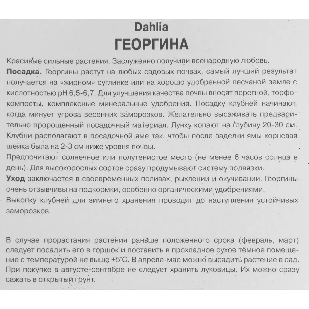 Георгина декоративная Акита луковица I ПОИСК STLM-2155802 - Вид №2