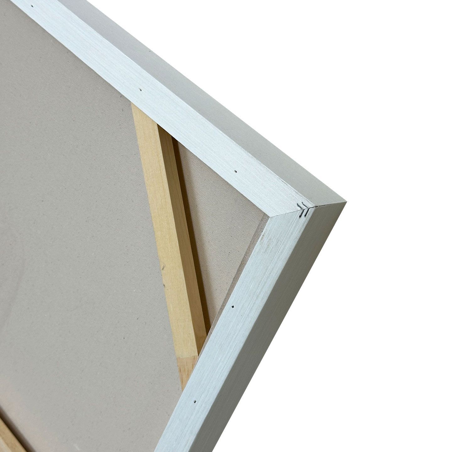 Холст рамки Agave UPSIDE ARCH-00067520 - Вид №7