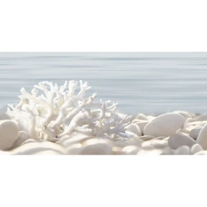 90401013 Декор Alma Ceramica Del Mare 2 DWU09DLM624 50x24.9см цвет разноцветный, цена за штуку STLM-0948065