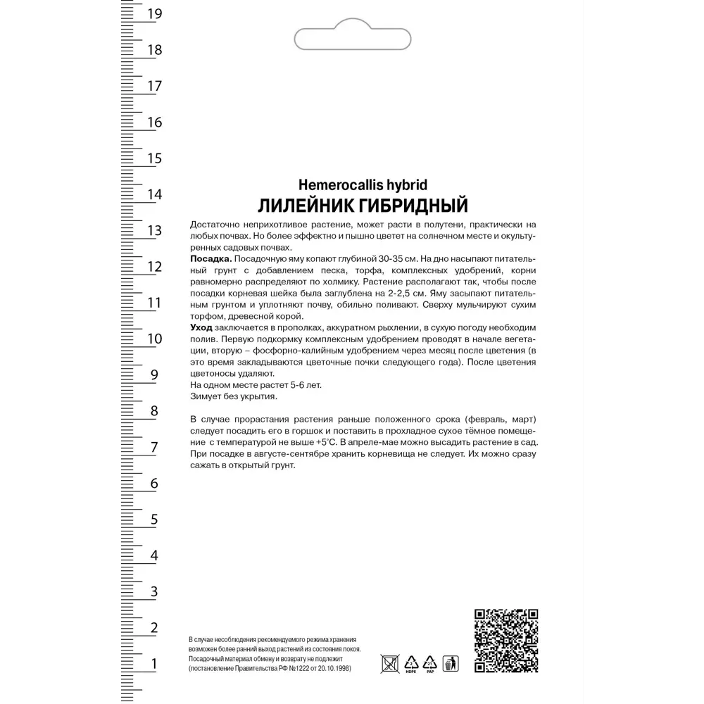 Лилейник гибридный Росвита I, 1 шт 82530254 STLM-2097161 Santreyd  - Вид №1
