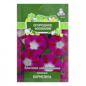 18358887 Ипомея «Кармелита»