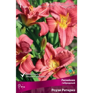 Лилейник гибридный «Роузи Ритернз» разбор I 82661831 STLM-2130227
