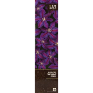 Клематис гибридный Юлька в тубе 82539485 STLM-2140212