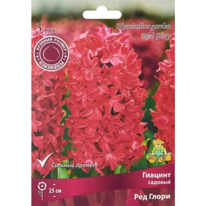 Гиацинт садовый Ред глори луковица 15/16, 3 шт. 88294686 STLM-2041075