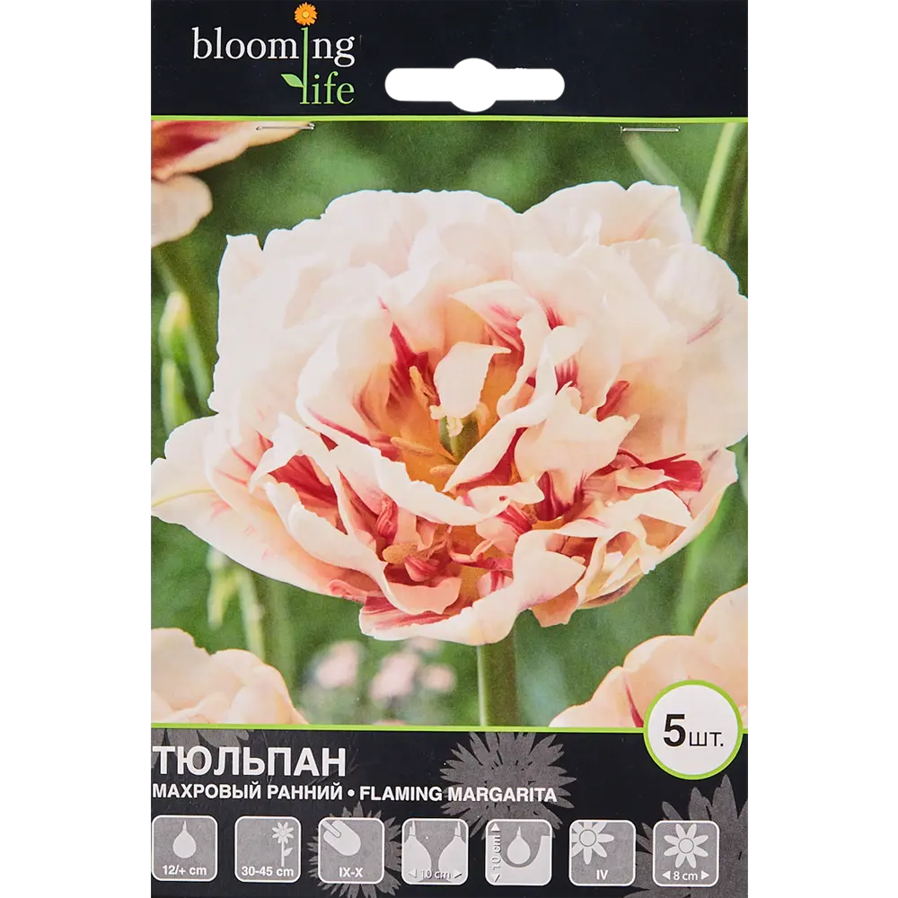 Тюльпан «Флеминг Маргарита» размер луковицы 12, 5 шт. 82665835 STLM-2070974 BLOOMING LIFE 