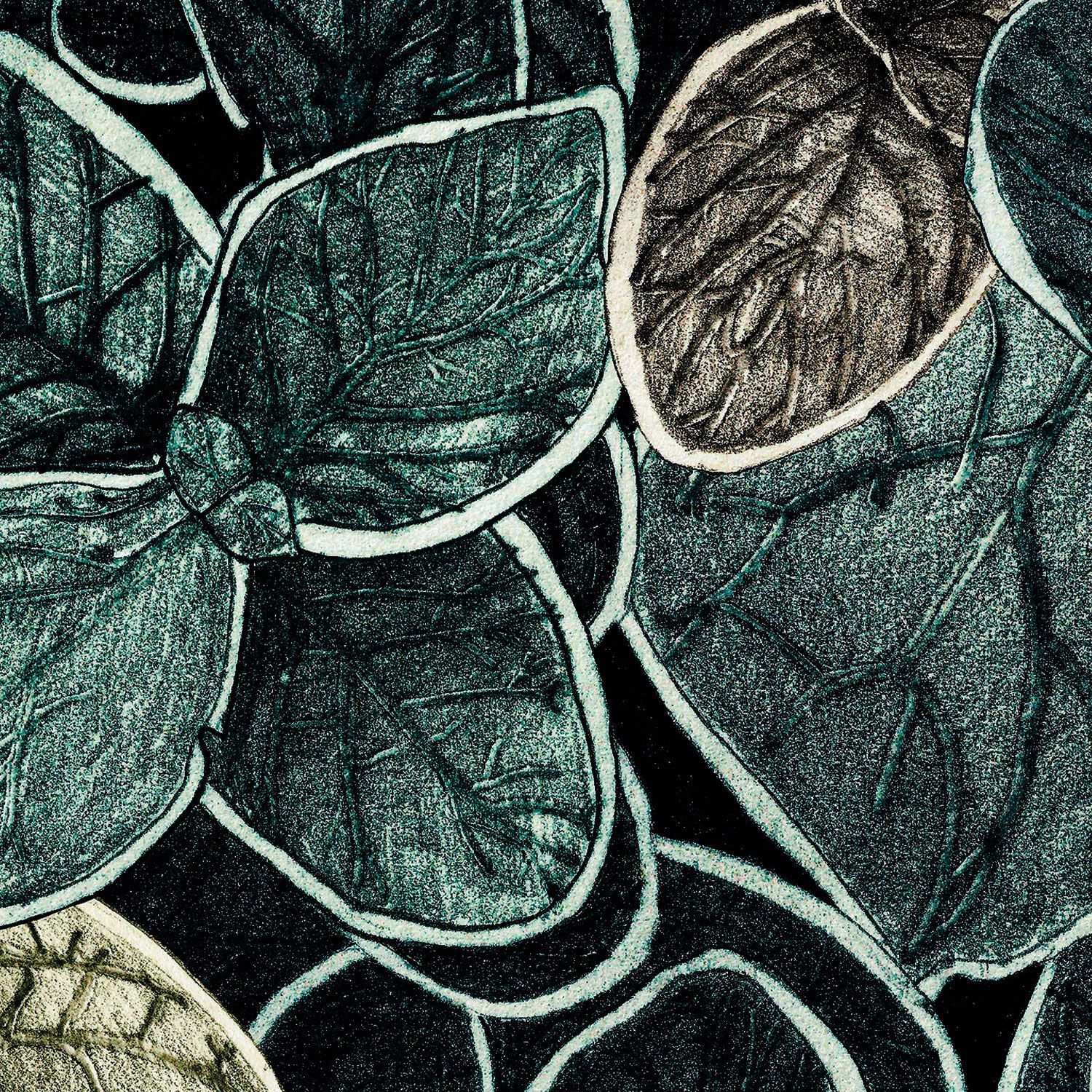 Обои с рисунком Ressource Faune &amp ARCH-00031135 - Вид №17