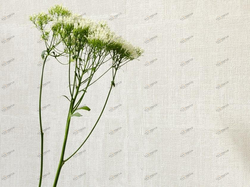 Élitis Антибактериальное огнестойкое виниловое покрытие sun-id-1395222