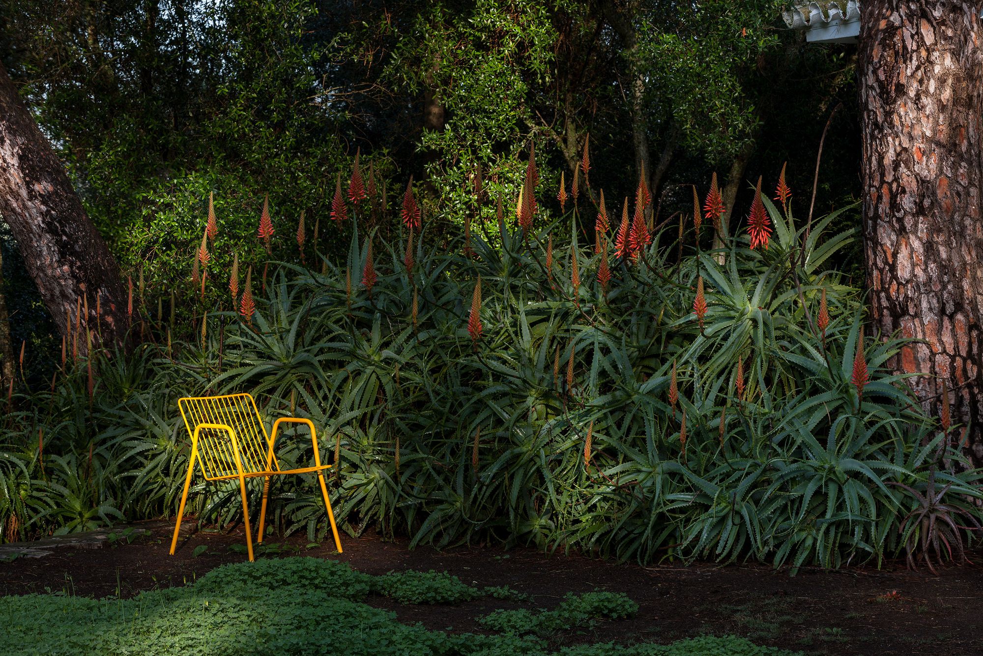 Садовый стул с подлокотниками iSimar Niza ARCH-00135078 - Вид №3