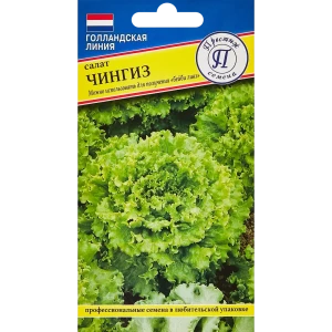 Семена Престиж салат Чингиз