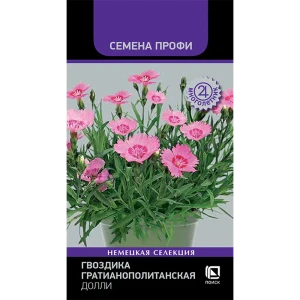 Гвоздика гратианополитанская Долли от ПОИСК - белоснежное украшение сада 89401278