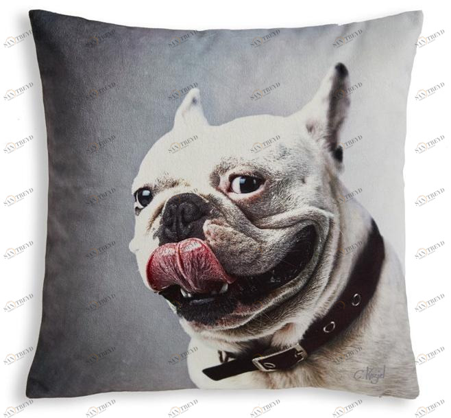 Koziel Квадратная подушка  9997-63 