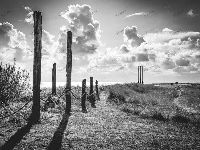 MOMENTI Авторский художественный принт Crazy home paintings An-003