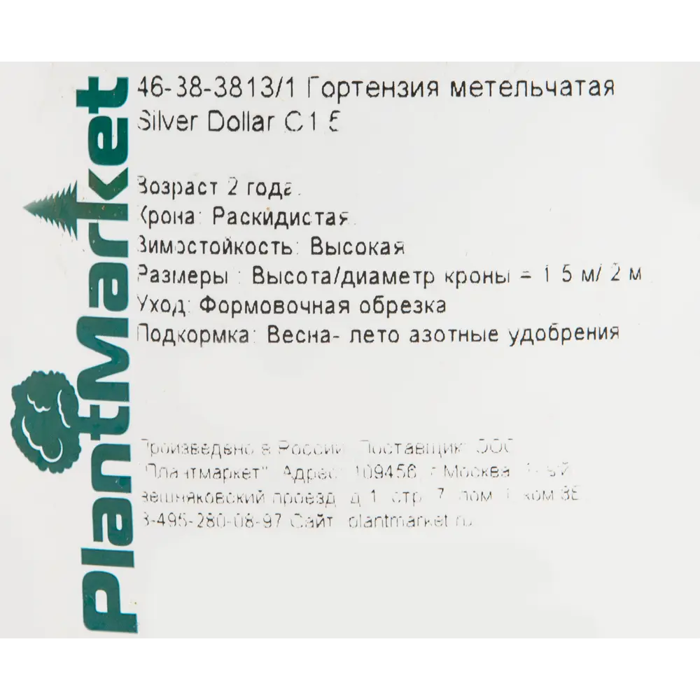 Гортензия метельчатая «Сильвер Доллар» C1.5 82174057 STLM-2020235 PLANTMARKET  - Вид №1