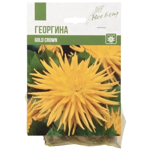 Георгина Кактусовая Голд Кроун (I) 14374564 STLM-2051037