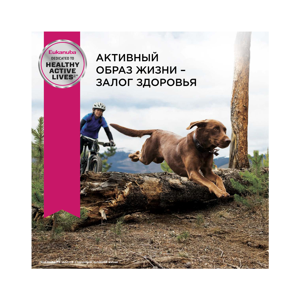 ПР0023010 Корм для собак для крупных пород ягненок, рис сух. 2,5кг Eukanuba  - Вид №4