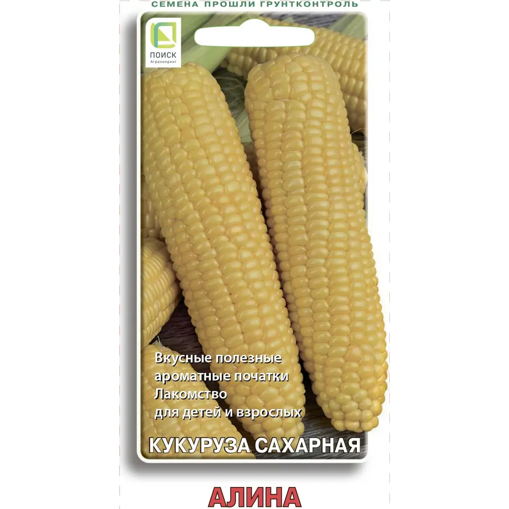 Семена кукурузы сахарной Алина - высокоурожайный сорт для домашнего огорода 89401072 ПОИСК STLM-1565525