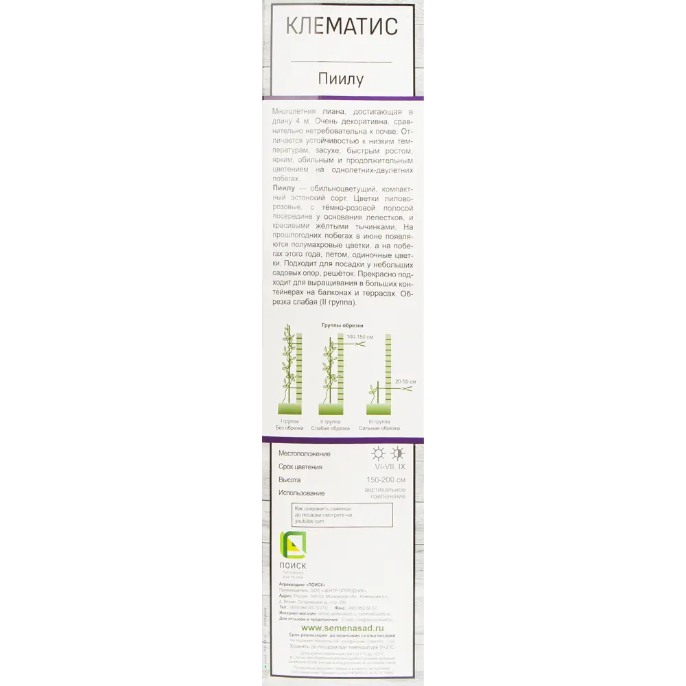 Клематис Пиилу Поиск 81951263 STLM-2189182 Santreyd  - Вид №1