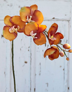 2368 334 a2 Шелковая орхидея Phalaenopsis, 75 см, оранжевая H-andreas