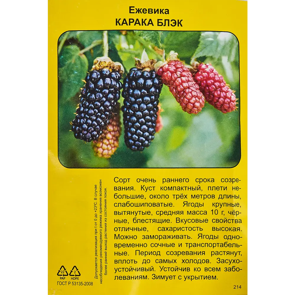 Ежевика Карака блэк h40 см 83791413 STLM-2156608 Santreyd  - Вид №1