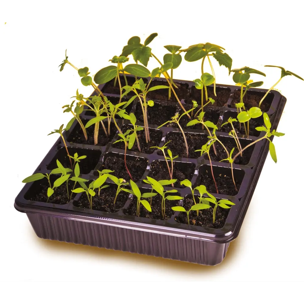 Мини-парник Santreyd для рассады с 20 ячейками 86763366 STLM-0071459 - Вид №2
