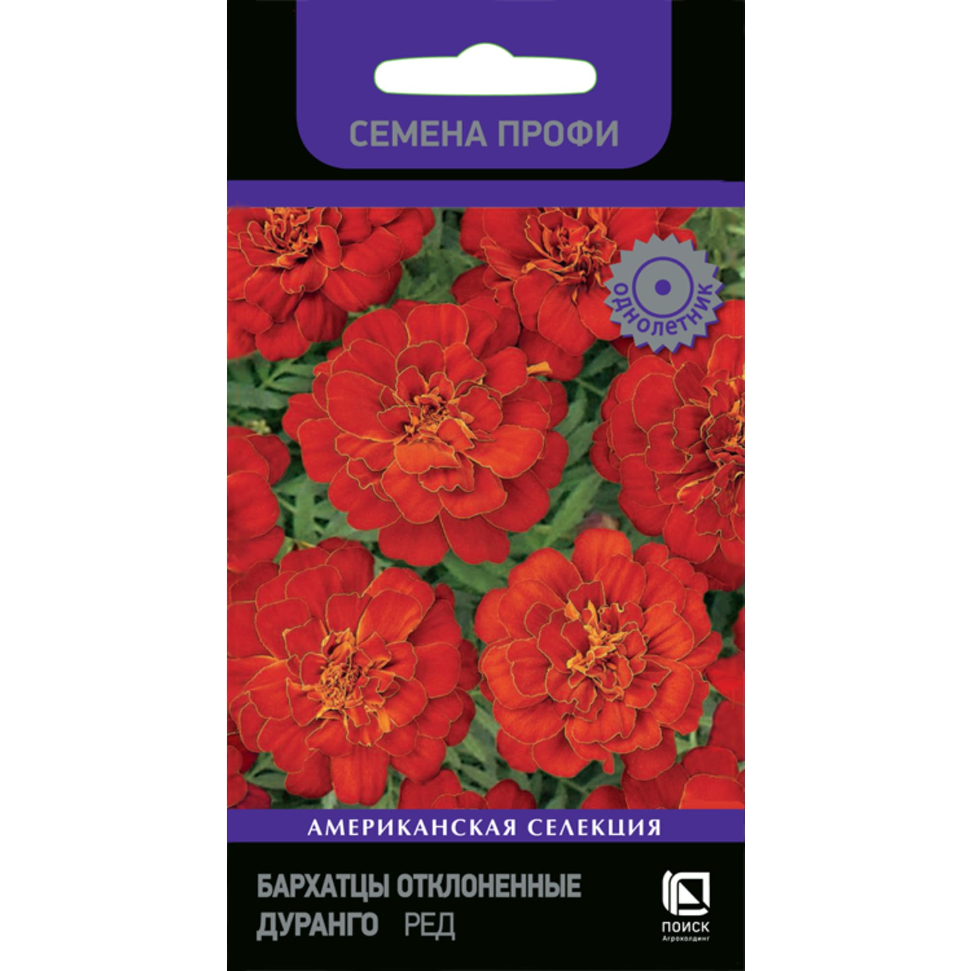 Бархатцы Дуранго Ред ПОИСК - золотистые анемоновидные цветы для сада 83227393 STLM-0039554