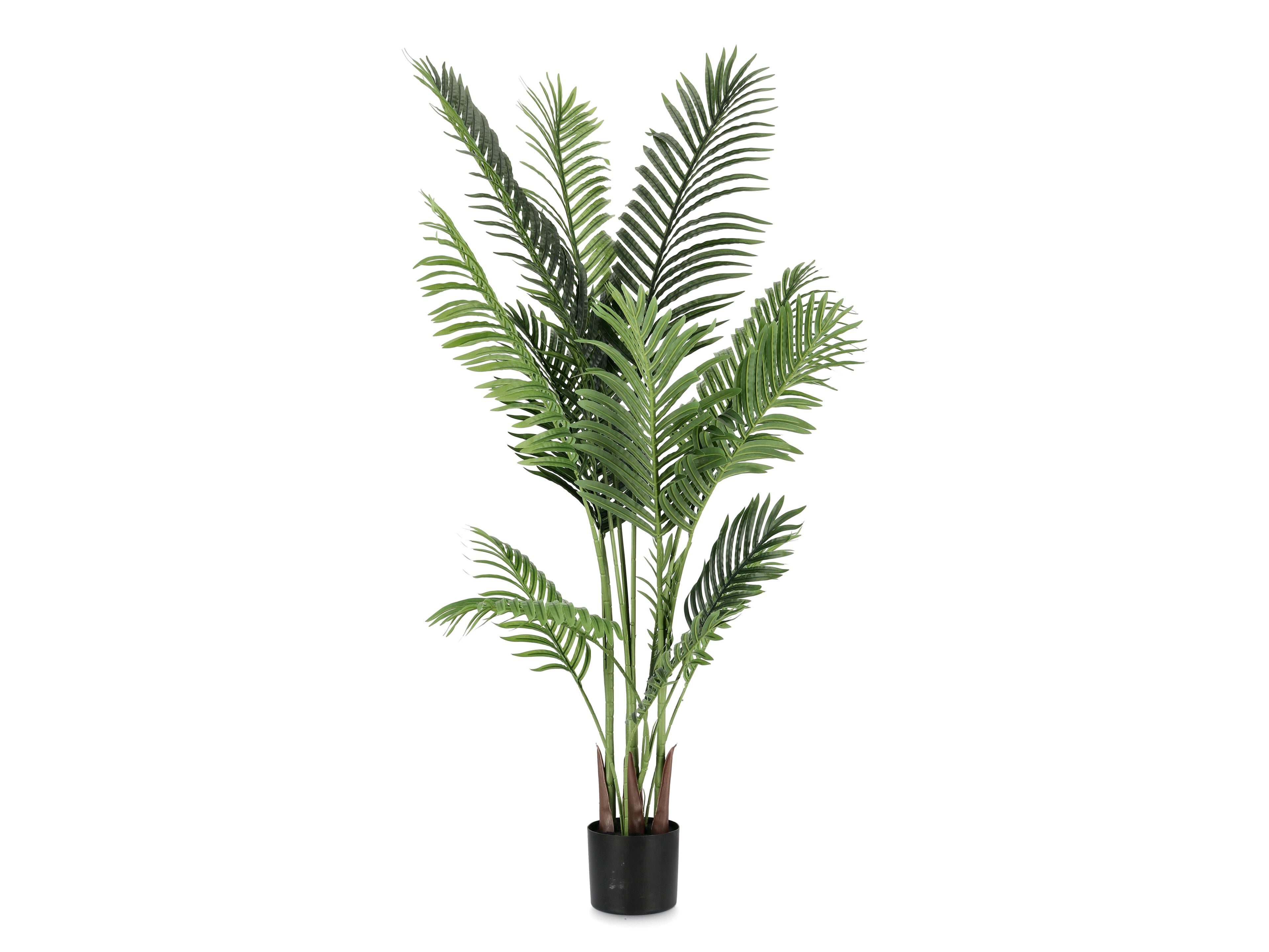 Искусственное растение BIZZOTTO KENZIA H140 ARCH-00102758