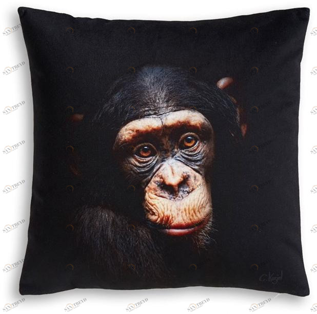 Koziel Квадратная подушка  9997-67 