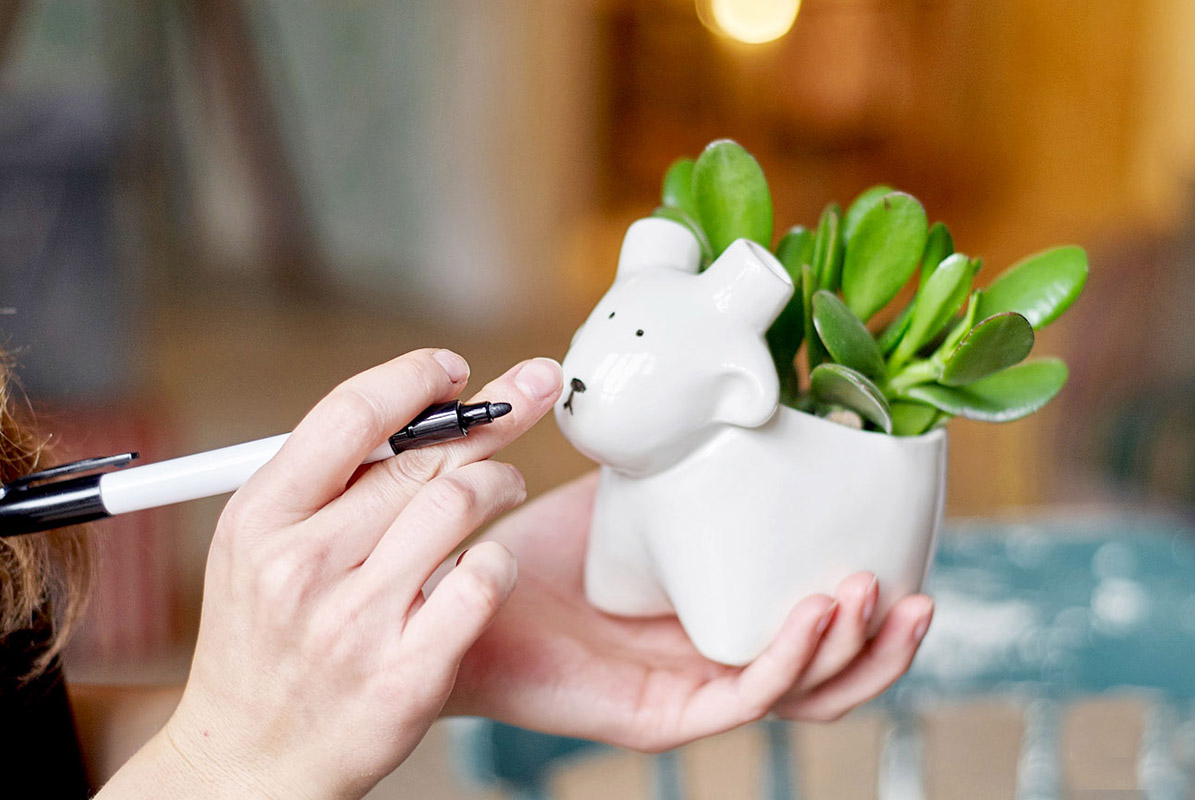 Набор для выращивания eco "Овечка" ЭКОЧЕЛОВЕКИ  254579 Белый  - Вид №2