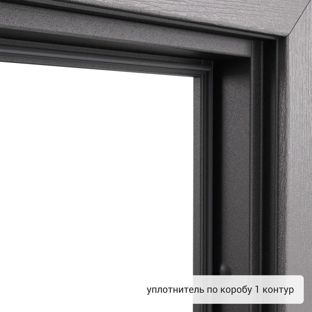 Дверь входная металлическая Хьюго 01 1000 мм левая TOREX STLM-2149109 - Вид №10