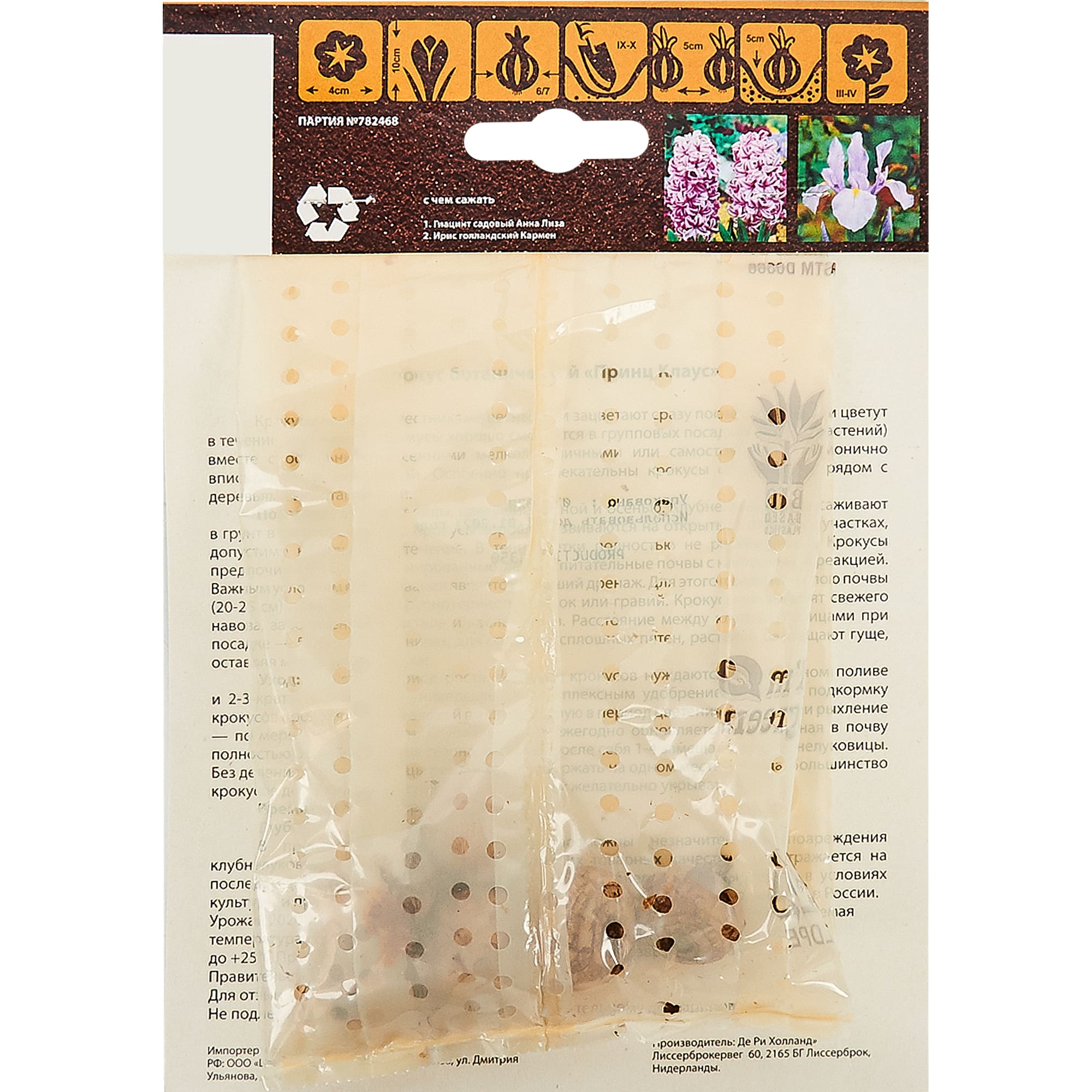 16395473 Крокус «Принц Клаус» Santreyd  - Вид №1