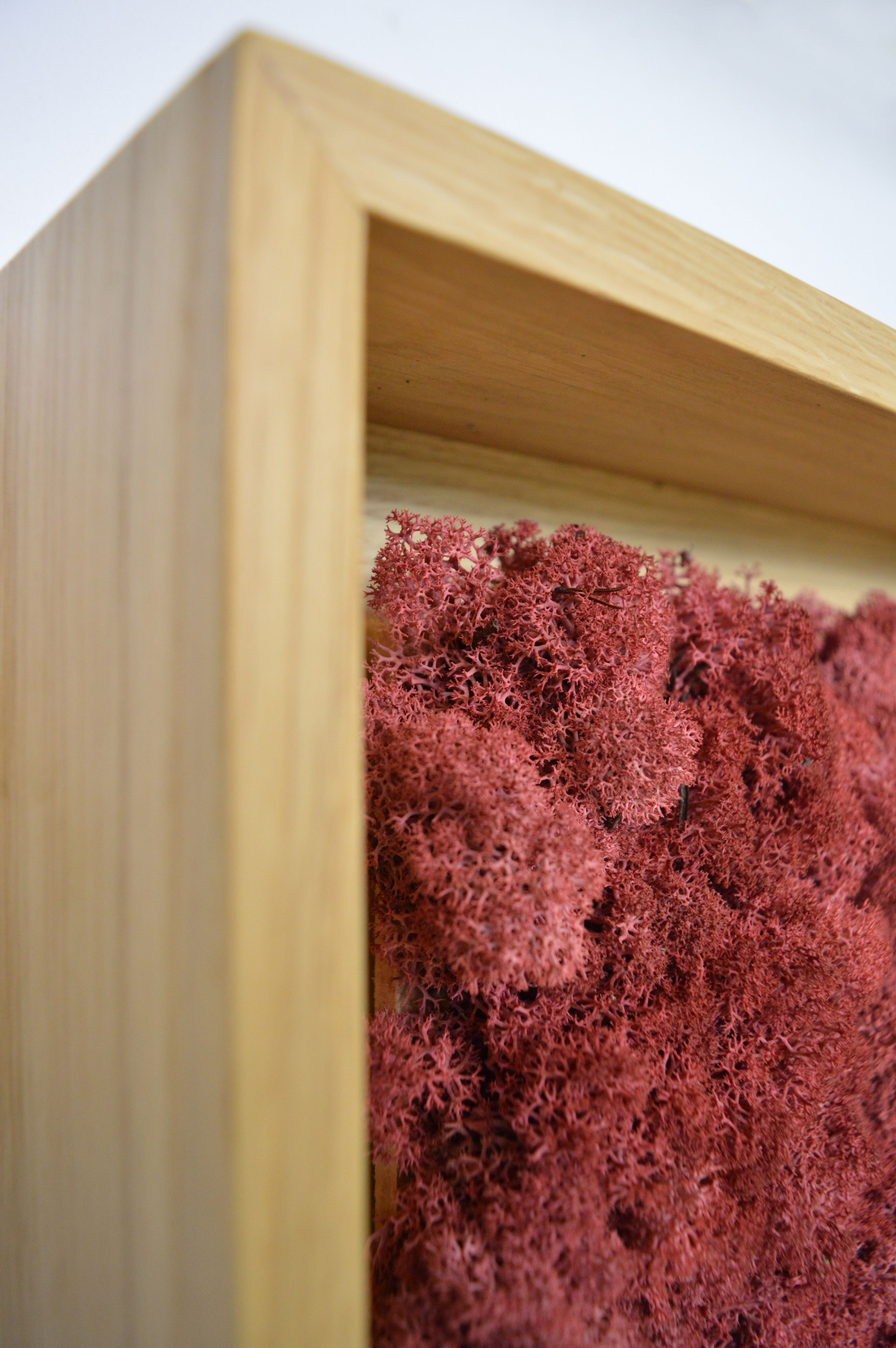 Акустическая панель из мха GREENMOOD FRAMED GEOMETRIC ARCH-00124960 - Вид №19