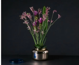 pulpo Зеркальная стеклянная ваза / контейнер