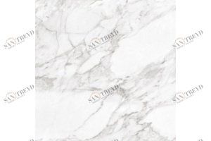 Керамогранит Carrara White Shine RC 60x60 Argenta sun-id-327123
