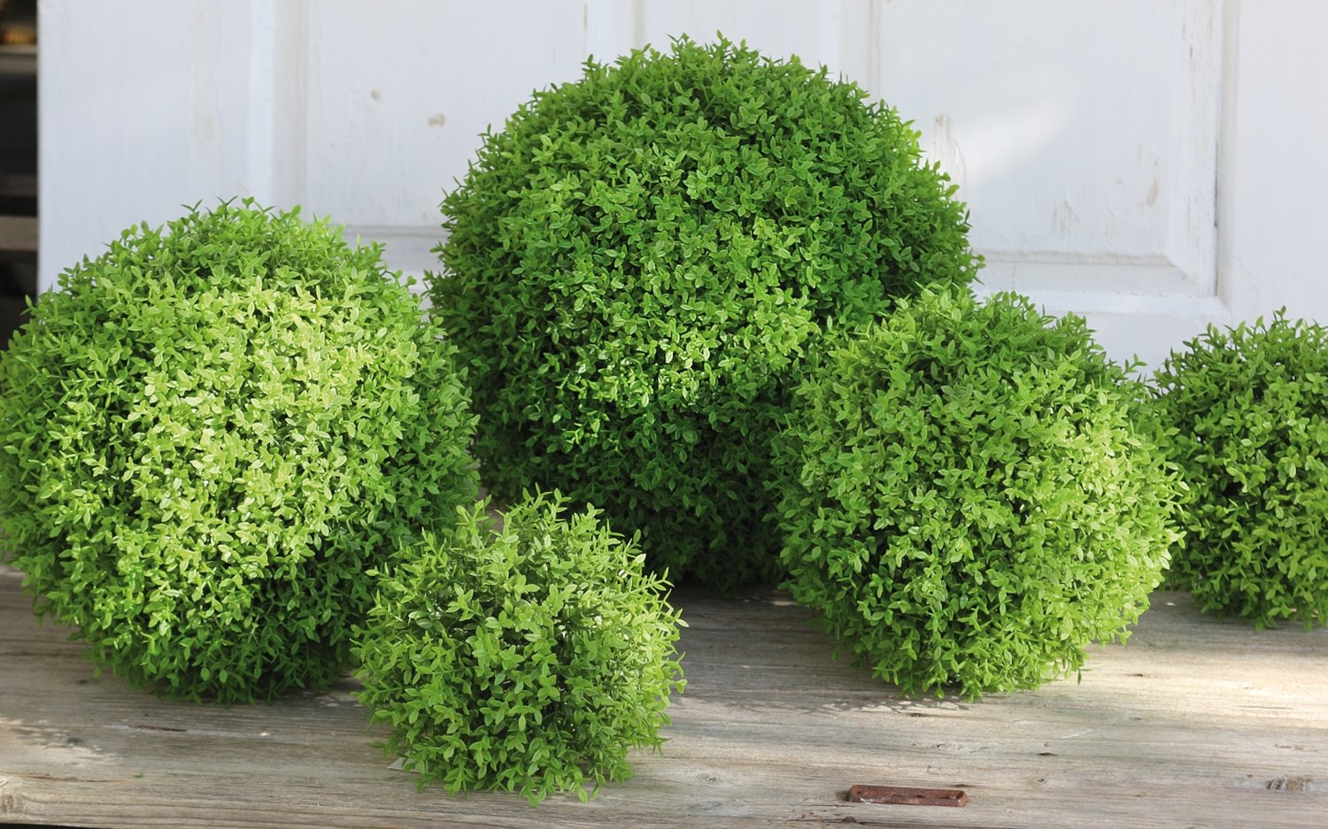 4545 803 a3 Шарик из искусственного мирта, Ø 22 см, желто-зеленый H-andreas  - Вид №1