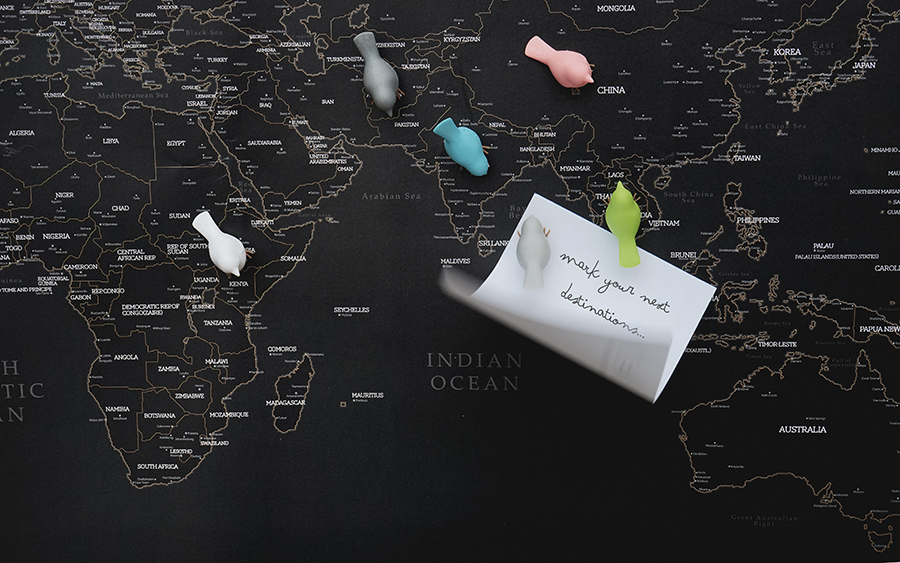 QL10258-PT Магниты на холодильник mini sparrow, 6 шт. Qualy  - Вид №1