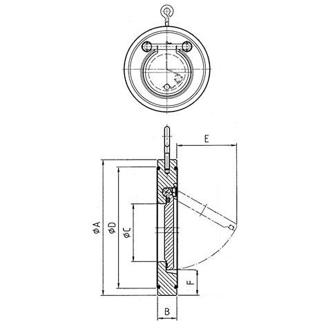 SANIT 127568000355 Обратный клапан без пружины, PVDF  - Вид №1