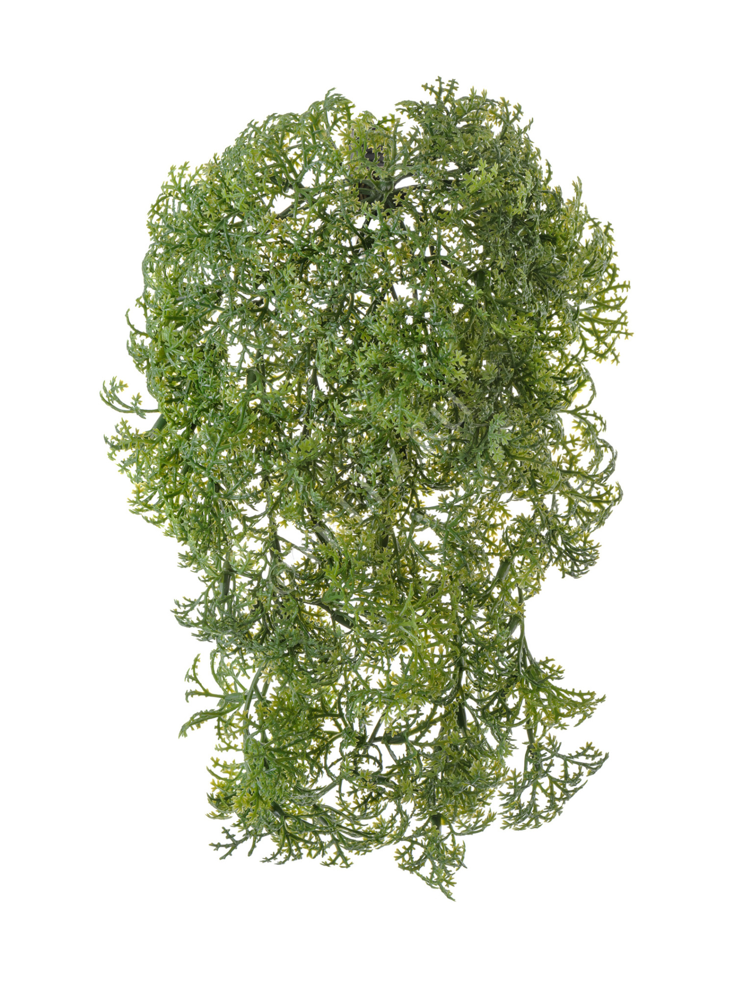 20.071617-GR Ватер-грасс (Рясковый мох) куст зелёный Цветочная коллекция 