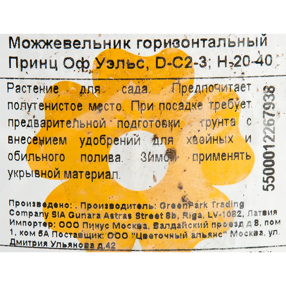 Можжевельник «Принц Оф Уэльс» 2 л h20 см 82219031 STLM-2122903 Santreyd  - Вид №1