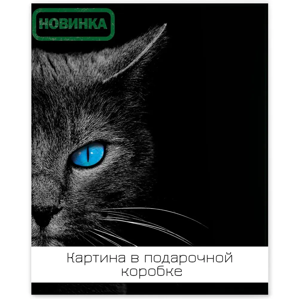 Картина на холсте Ночная кошка 40x50 см FBRUSH STLM-2051417