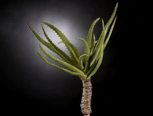 VGnewtrend Искусственное растение из полиэстера  1150098.60