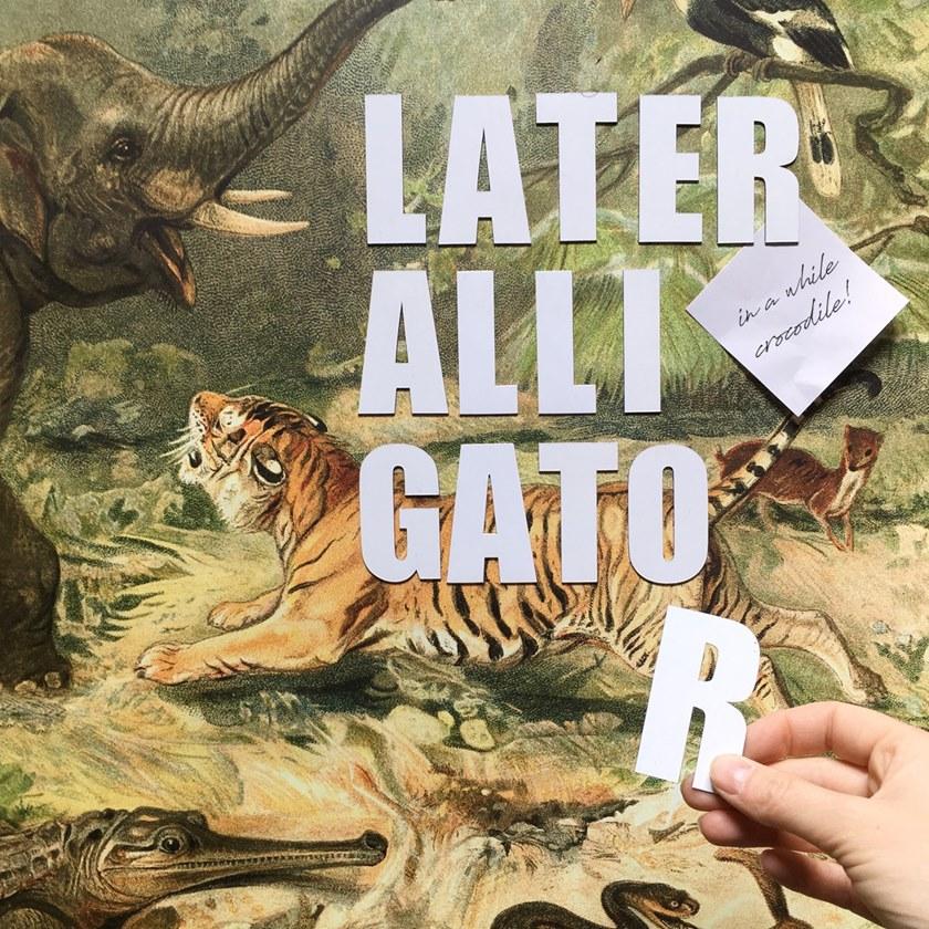 Groovy Magnets Магнитный плакат Animal Pos-ff - Вид №3